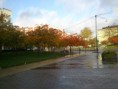 /album/bildgalleri-hosten/dsc-0185-jpg1/