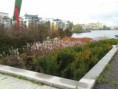 /album/bildgalleri-hosten/dsc-0196-jpg/